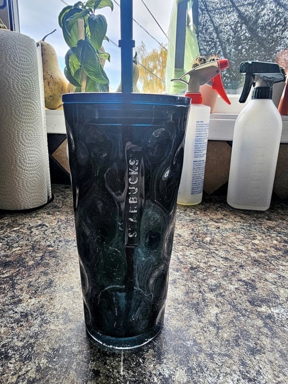 Starbucks Siren Swirl Wavy Cold Cup Tumbler Deep Green